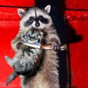 Sylvia Davila - @Sylhelena - Twitter