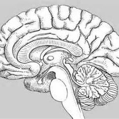 Capacity building, Research, Innovation and Technology in Neuroscience for a Healthy Nation. Advance evidence based prevention and management of MNS disorders