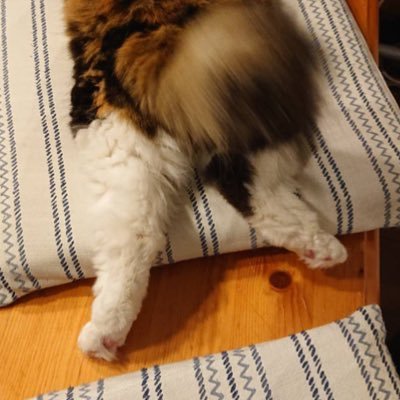 HB0211's profile picture. 釣りはまったりとやるのが好きですが道具等のこと…マァ釣りに関して余りこだわりはない(知識は余りない）休みが日曜日、第1、3土曜日、祭日が休みです。釣り以外ワイワイするのが好きです。車、バイク、カラオケ(ポケカラでたきりゅうという名前でやってます)