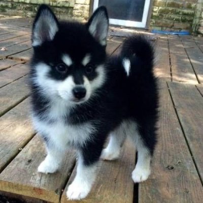 ___jenno's profile picture. 