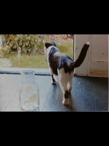 mttokki's profile picture. back to the basic