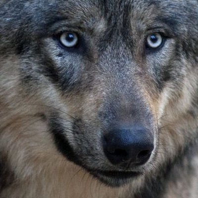 gnar27140's profile picture. 