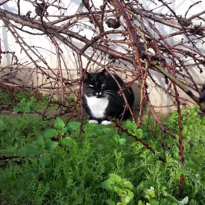 Isabelさんのプロフィール画像