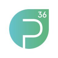 p36 GmbH