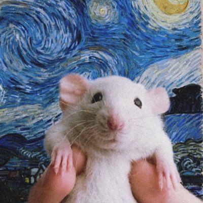 asunaさんのプロフィール画像