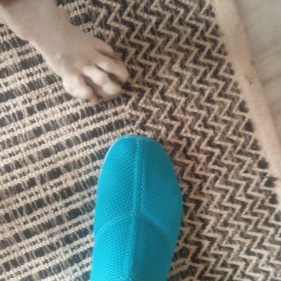 goodpuppyfilms's profile picture. @Filmmaker @dogma @artist