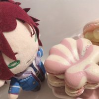 ず🐈ツイフィ必読 (@m_i_0316_) 's Twitter Profile