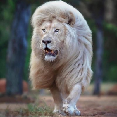 Navjotsinghbal6's profile picture. 