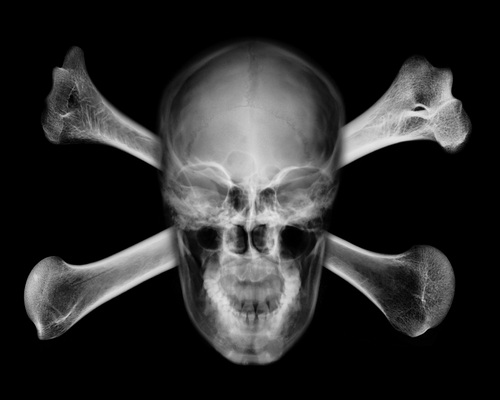 pepgarrido's profile picture. Escric i filmo