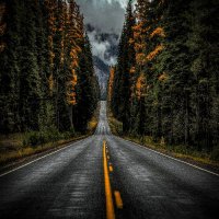 Shoaib20021 (@shoaib20022002) 's Twitter Profile