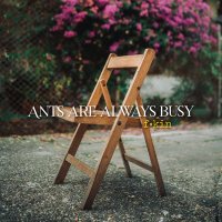Ants Are Always Busy (@aaabphotobox) 's Twitter Profile Photo