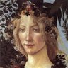 PlantHums_UK's profile picture. Celebrating the infinite possibilities of arts-humanities-plants encounters. @kewgardens & @RoyalHolloway research project funded by @ahrcpress