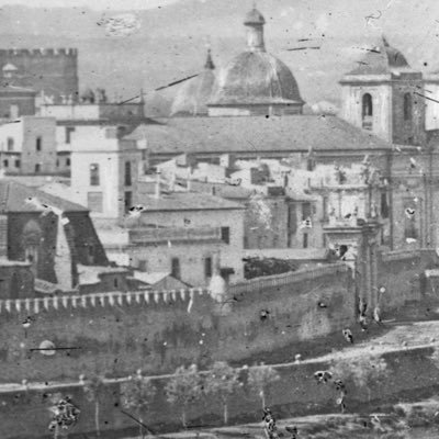 somaperatots's profile picture. 