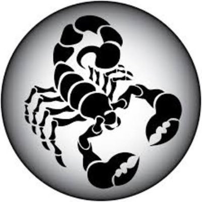 AKREPLERİN DÜNYASINDA KAYBOLMAYA HAZIR MISINIZ ? 🦂 Scorpion 🦂