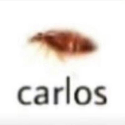 trashg0blin69's profile picture. Deana Carter fan account