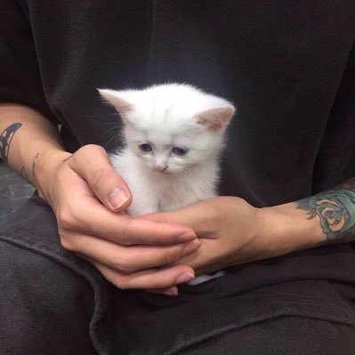 urad0red's profile picture. there’s so much beauty in love ♡