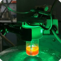 Francesco Secci Lab (@groupsecci) 's Twitter Profile