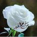كاف ألم يا زمن (@7ljpoa2zqyoctnl) Twitter profile photo كاف ألم يا زمن (@7ljpoa2zqyoctnl) Twitter profile photo