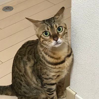 IYG1Lr09LpoOsoX's profile picture. 宮本浩次様大好き