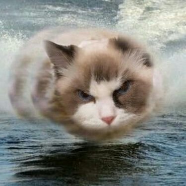 IDUK555555's profile picture. FC เนียเนีย นัมเบอร์วัล ทาสรักเนียเนีย 😺😺