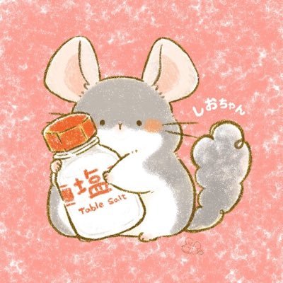 チンチラ♀サファイア疑惑があるバイオレット：しお🐭 2019.04.03 🏠／3匹のノルウェージャン🐈／チンチラ飼い5年生 飼い主：じろ／アイコンは@155wanさんに描いていただきました🧡 ⚠️チンチラ専用垢ではありません⚠️