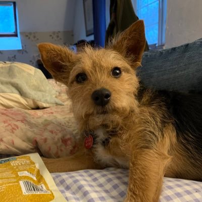 Camillathomas8's profile picture. x