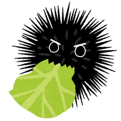 sobaさんのプロフィール画像