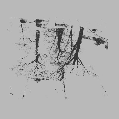 blesslivemore's profile picture. God's child