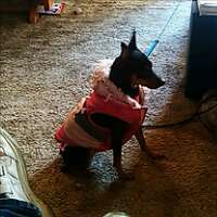 glock29's profile picture. 