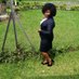 Lilian Masika (@lilianmasika77) Twitter profile photo Lilian Masika (@lilianmasika77) Twitter profile photo