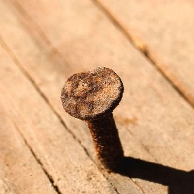 KonzaNostra's profile picture. Treba im svima jebati mater.