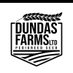 Dundas Farms (@Dundasfarms) Twitter profile photo