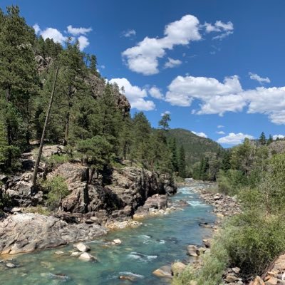 cade2615's profile picture. 