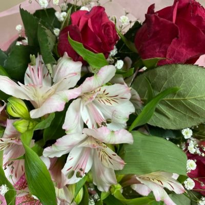 ririooo_'s profile picture. つぶやき垢→ririooo_23