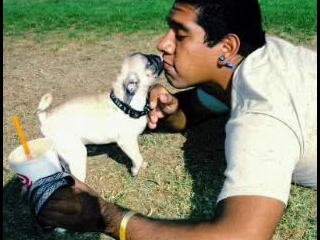 Raiders/Chicagobulls/MannytheFrenchie