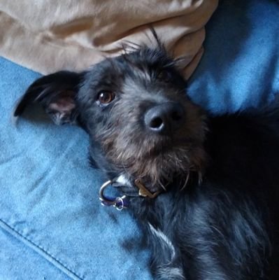 RobertW30608382's profile picture. Family, state, then country.