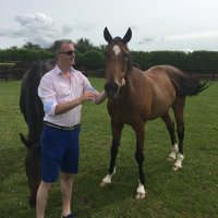 Daithi Harvey (@daithiharvey) 's Twitter Profile Photo