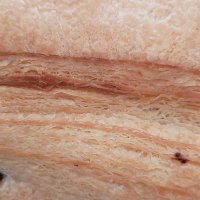 さく (@sakutorihiki_) 's Twitter Profile