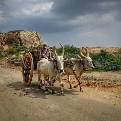 Punjabi