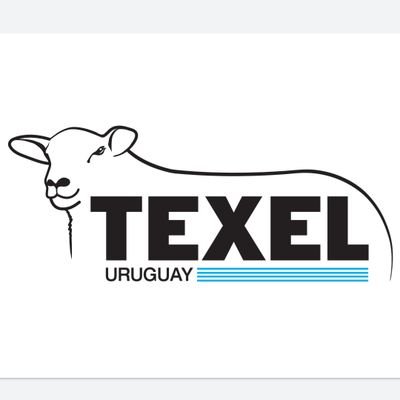 Cuenta oficial de la Sociedad de Criadores Texel del Uruguay
