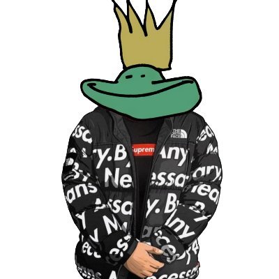Competitive Smash Player | Team Captain of the @DU_Esport's Smash Team | Bowser Main | King K Rool Enthusiast | The Most Technical K Rool in MI | aka Sean