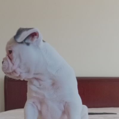 Santiag19783988's profile picture. 