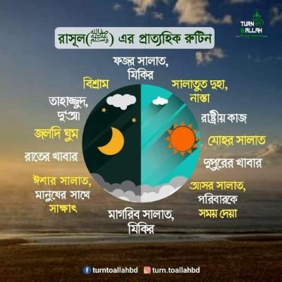 I am Wardatul Zannat. Professional eCommerce, woo Commerce, Shopify Dropshipping Expert, Website Cloner, and Mailchimp Email marketer. Completed 60+ Projects