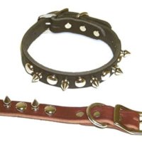 BDSM Promo en español (@bdsmpromocion) 's Twitter Profile