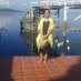 Aye HninLatt (@ahninlatt) Twitter profile photo Aye HninLatt (@ahninlatt) Twitter profile photo