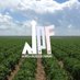 North Paddock Farms (@northpaddock) Twitter profile photo North Paddock Farms (@northpaddock) Twitter profile photo