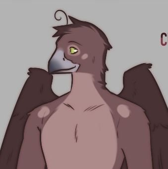 Bird!
pan || 24 || they/them || 🇨🇦 || navy birb || out on Van.Isle!
Dm's open!
🔞
