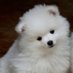 arrox (@arroxamarilla) Twitter profile photo arrox (@arroxamarilla) Twitter profile photo