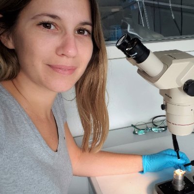 Bióloga. Etóloga. Postdoc en @labre_arg - @IDEA_CONICET. 
Córdoba, Argentina 🇦🇷 | 
(Ella/She/Her)

cat lover foreva