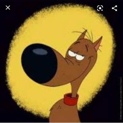 Rant_amplan's profile picture. El estado debe interferir lo mínimo en la vida de las personas. 

La libertad es lo ➕ preciado del hombre. Ha costado mucho ganarla, y cuesta muy poco perderla.